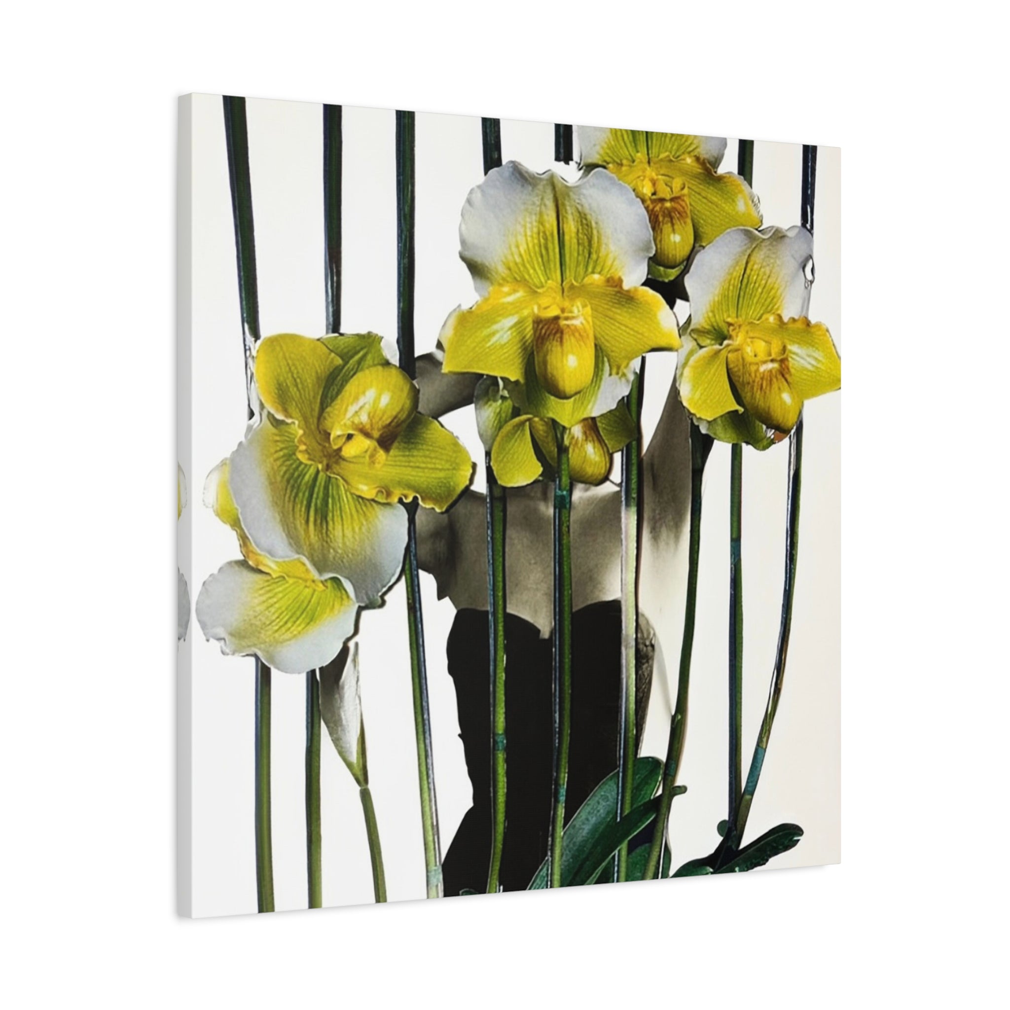 Orchid Canvas Print — Yellow Paphiopedilum Floral Wall Art, Matte Stretched Canvas