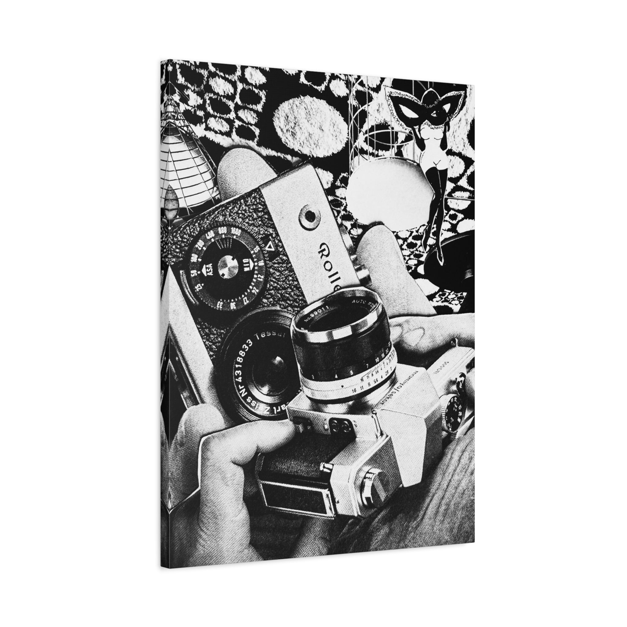 Vintage Camera Collage Matte Canvas Wall Art