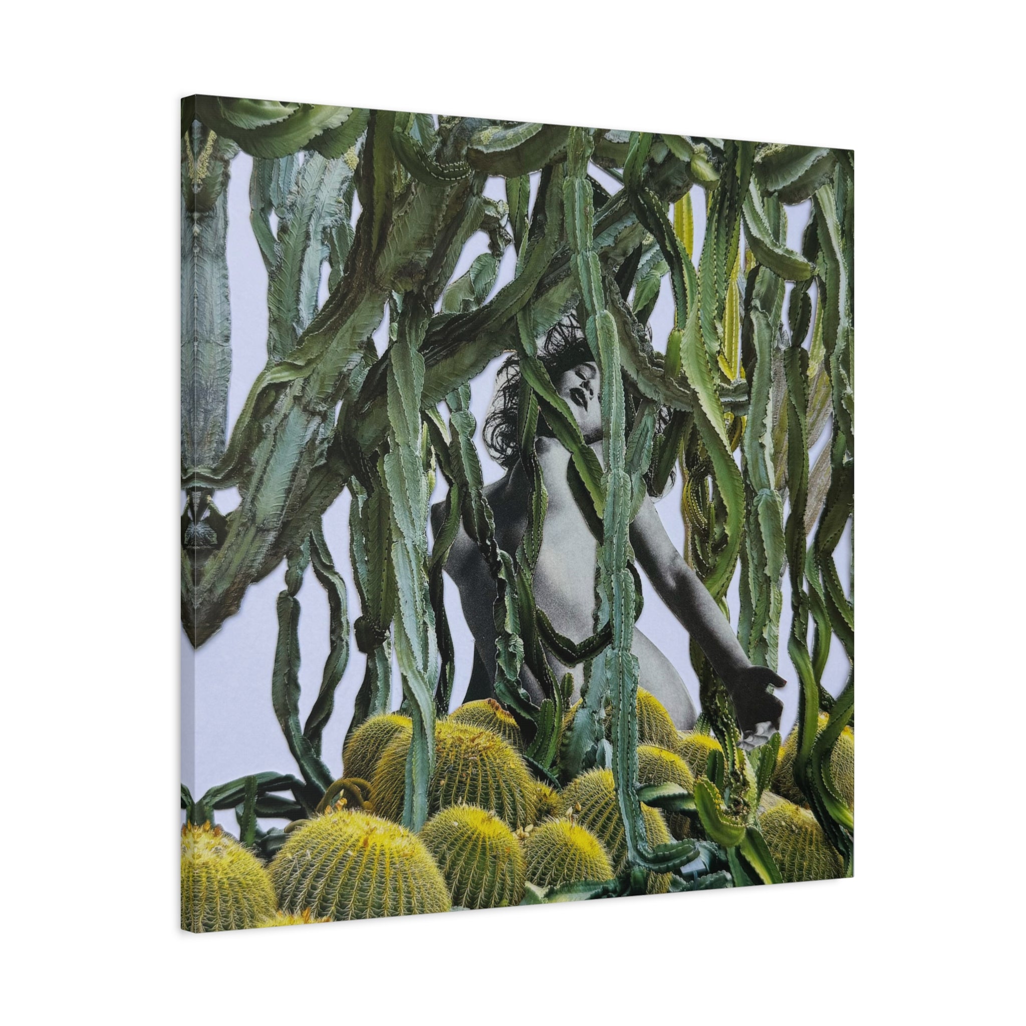 Botanical Nude Art Canvas - Surreal Cactus Wall Art
