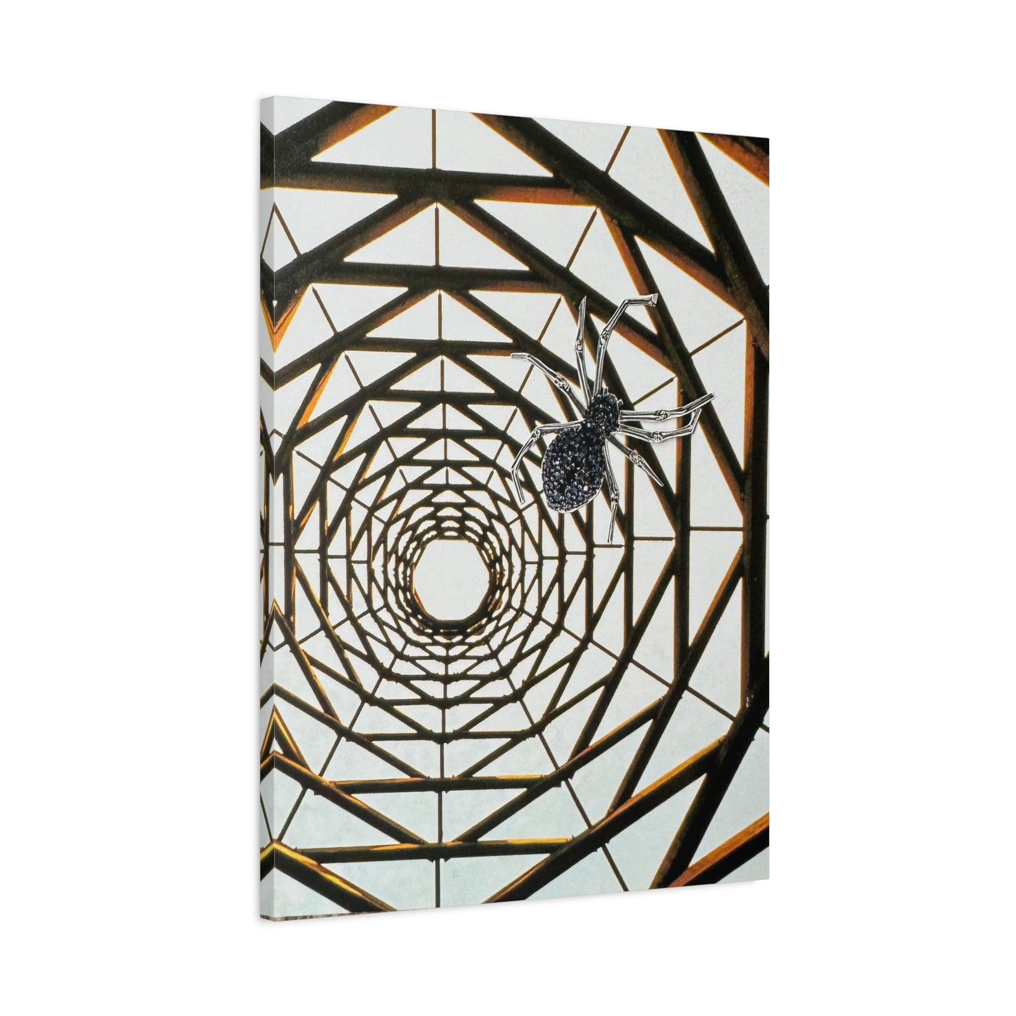 Spider Web Illusion Matte Canvas Wall Art — Geometric Tunnel with Spider