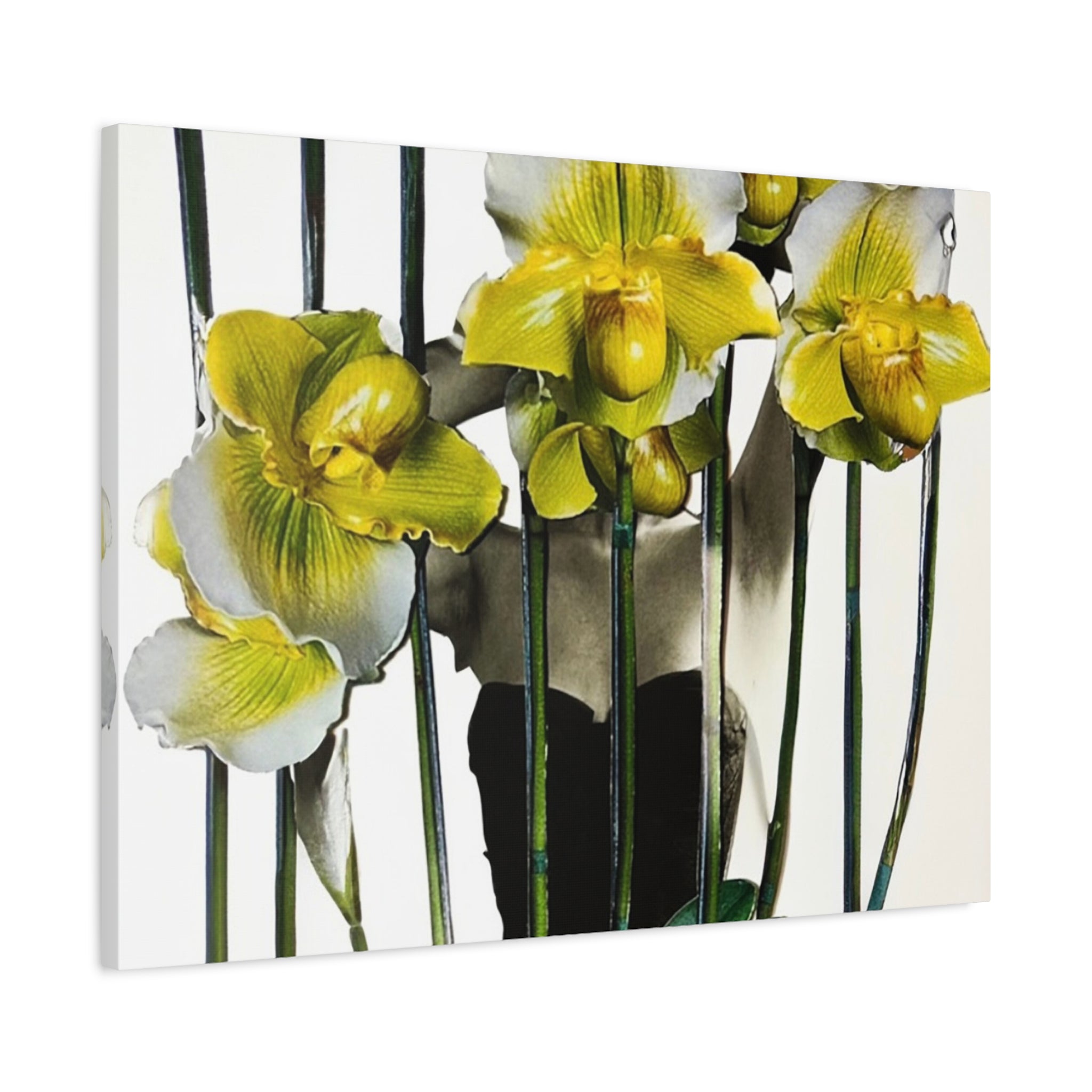 Orchid Canvas Print — Yellow Paphiopedilum Floral Wall Art, Matte Stretched Canvas