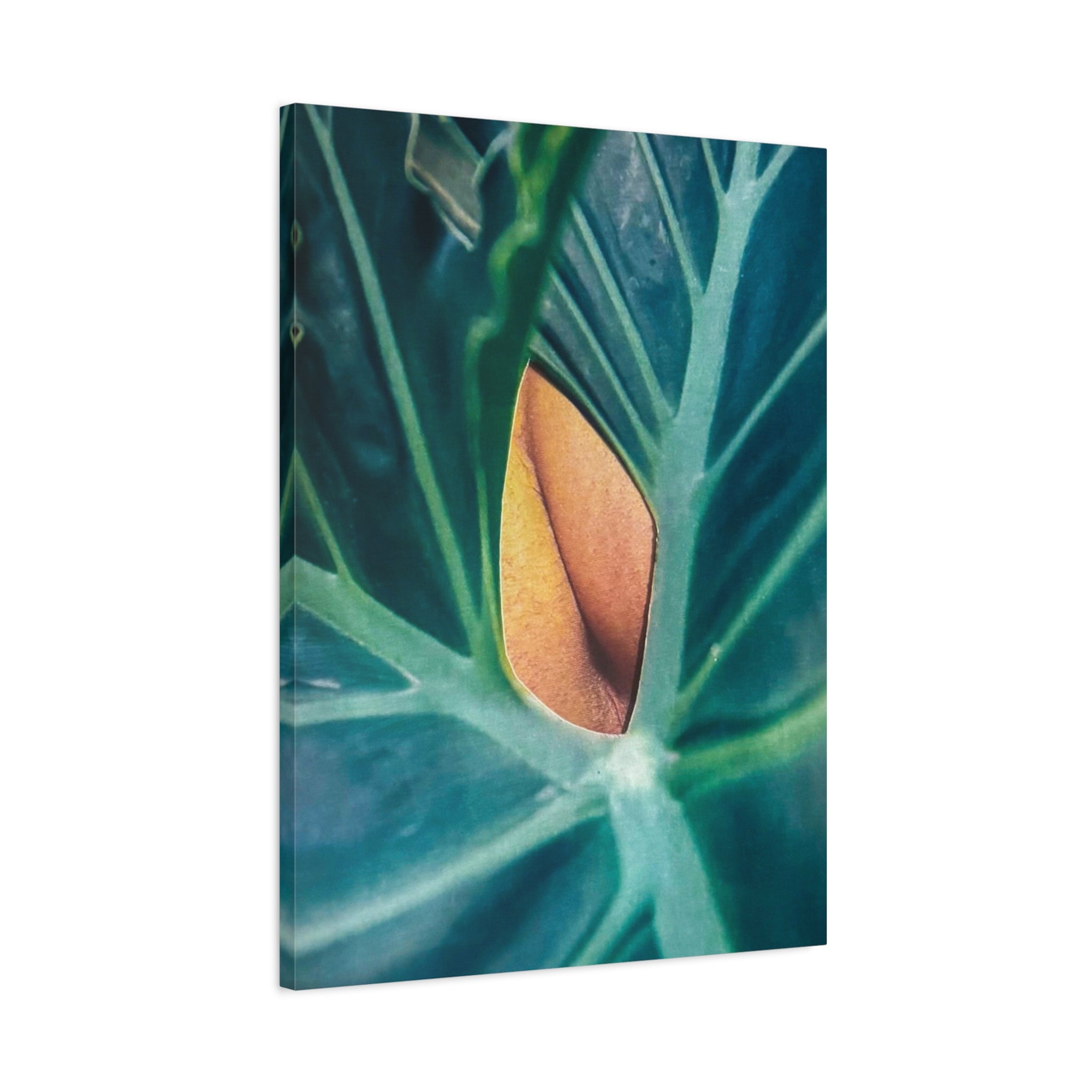 Tropical Leaf Canvas Wall Art — Close-Up Monstera Photo Matte Stretched Canvas
