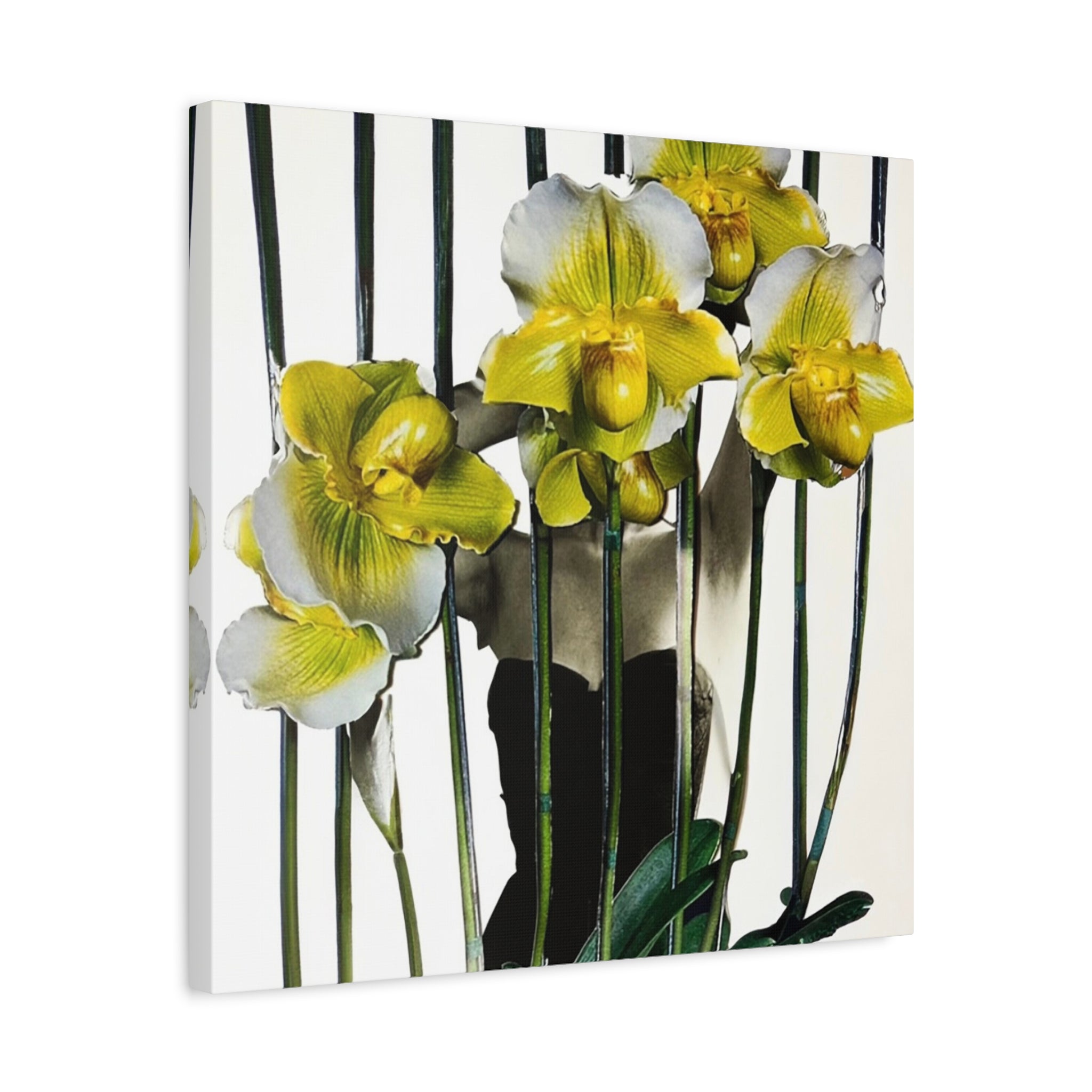 Orchid Canvas Print — Yellow Paphiopedilum Floral Wall Art, Matte Stretched Canvas