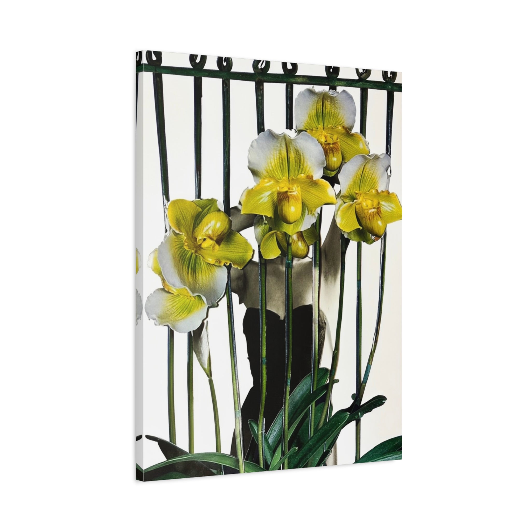 Orchid Canvas Print — Yellow Paphiopedilum Floral Wall Art, Matte Stretched Canvas