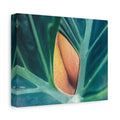 Tropical Leaf Canvas Wall Art — Close-Up Monstera Photo Matte Stretched Canvas