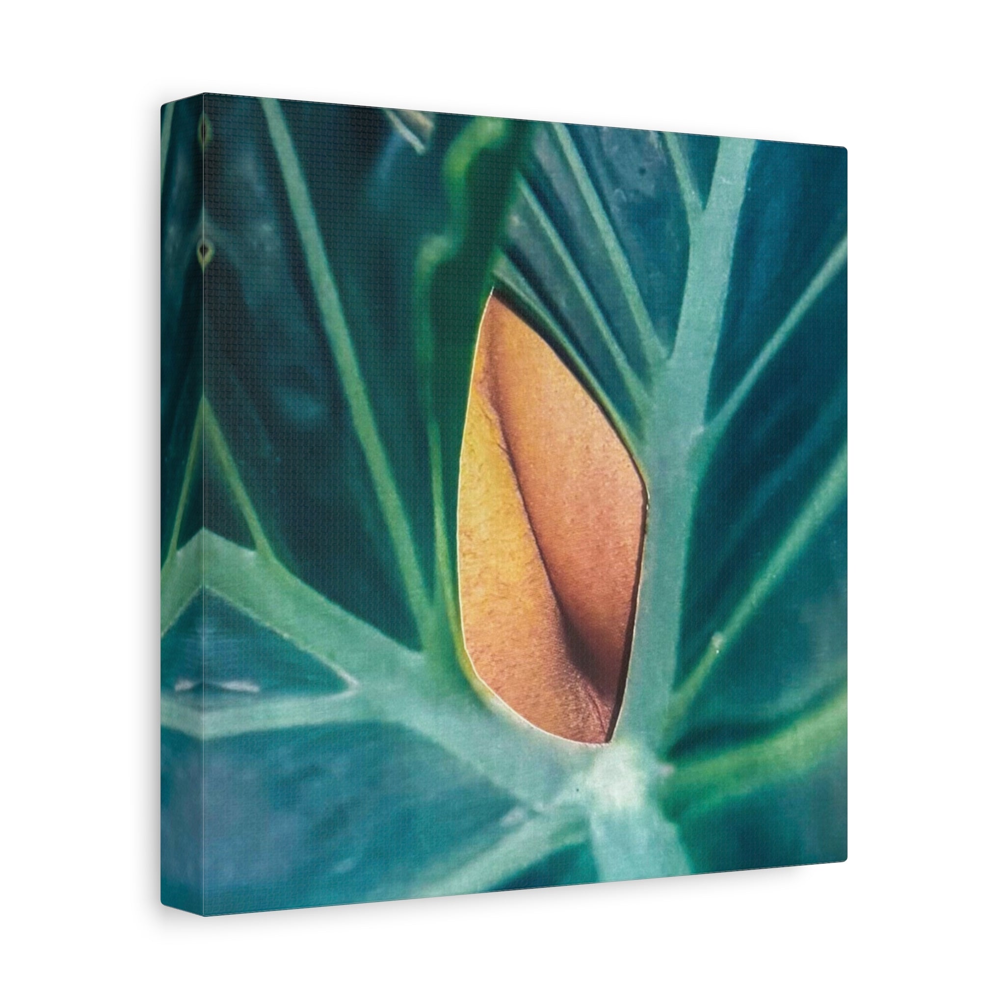 Tropical Leaf Canvas Wall Art — Close-Up Monstera Photo Matte Stretched Canvas