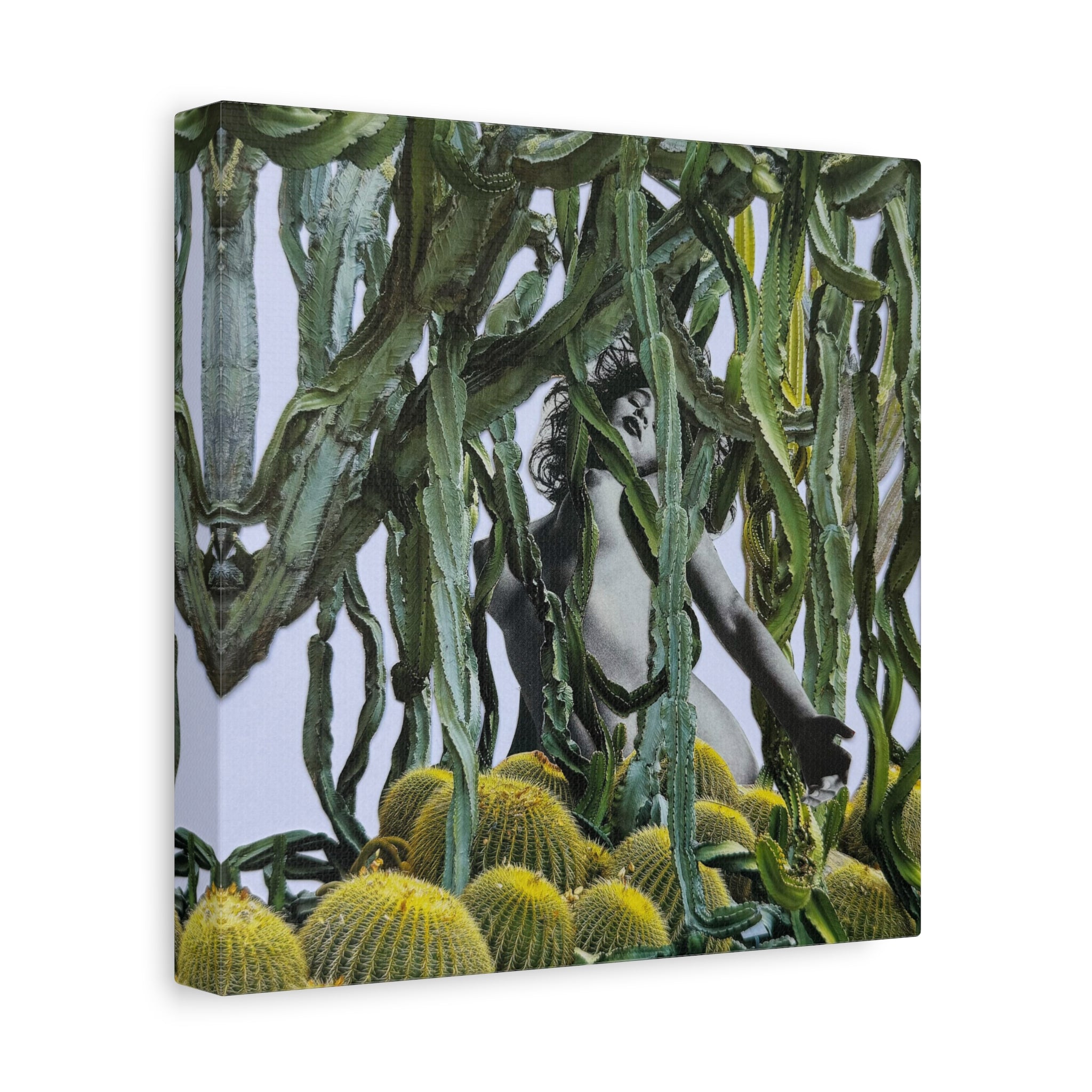 Botanical Nude Art Canvas - Surreal Cactus Wall Art