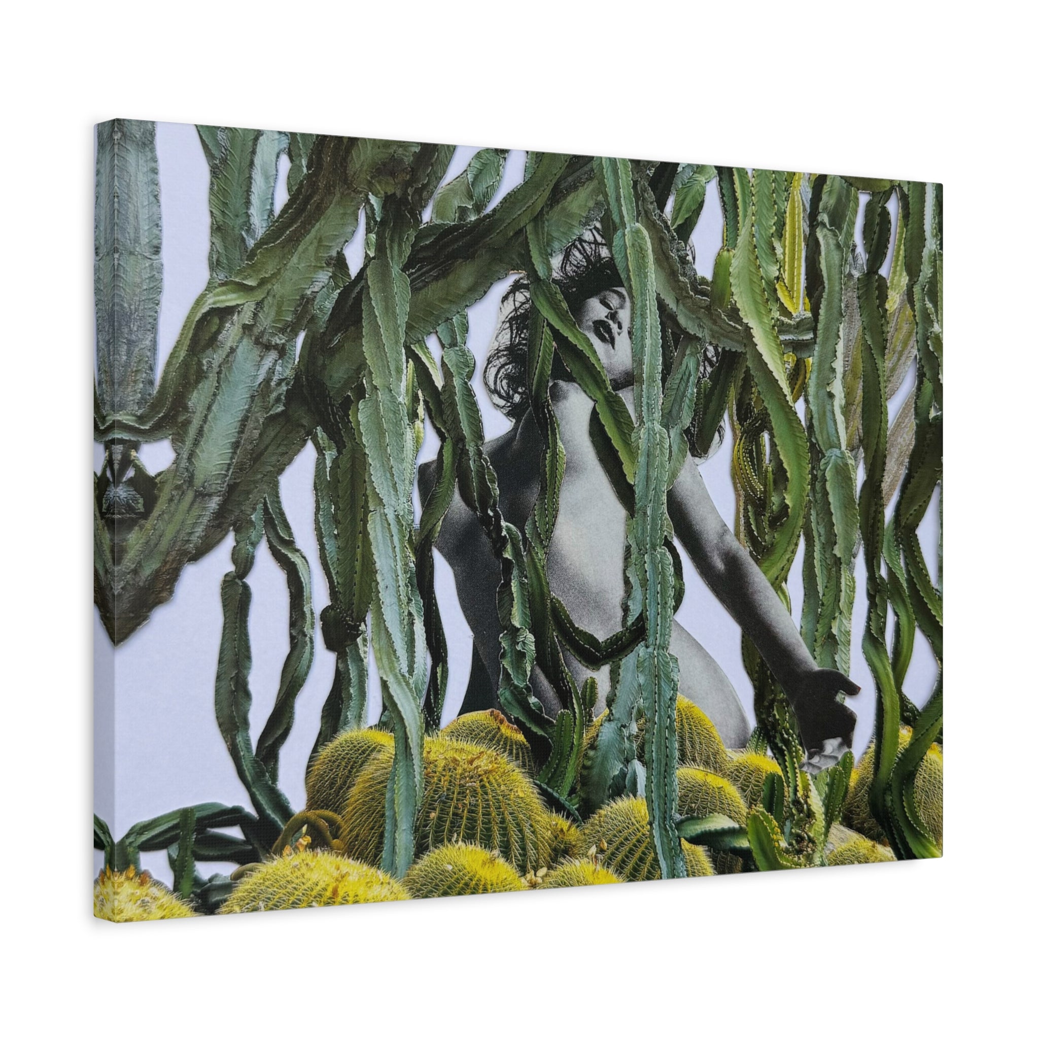 Botanical Nude Art Canvas - Surreal Cactus Wall Art