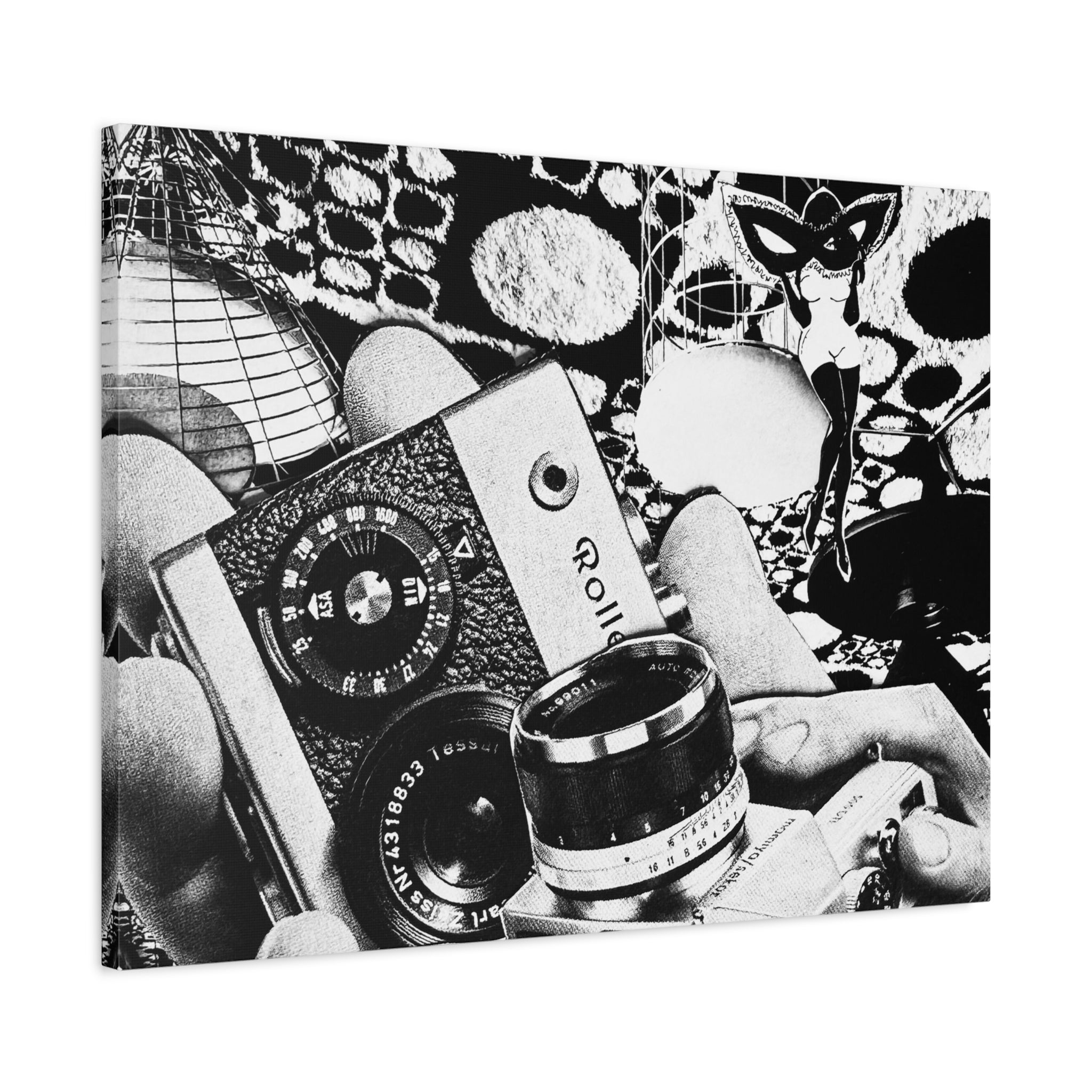 Vintage Camera Collage Matte Canvas Wall Art