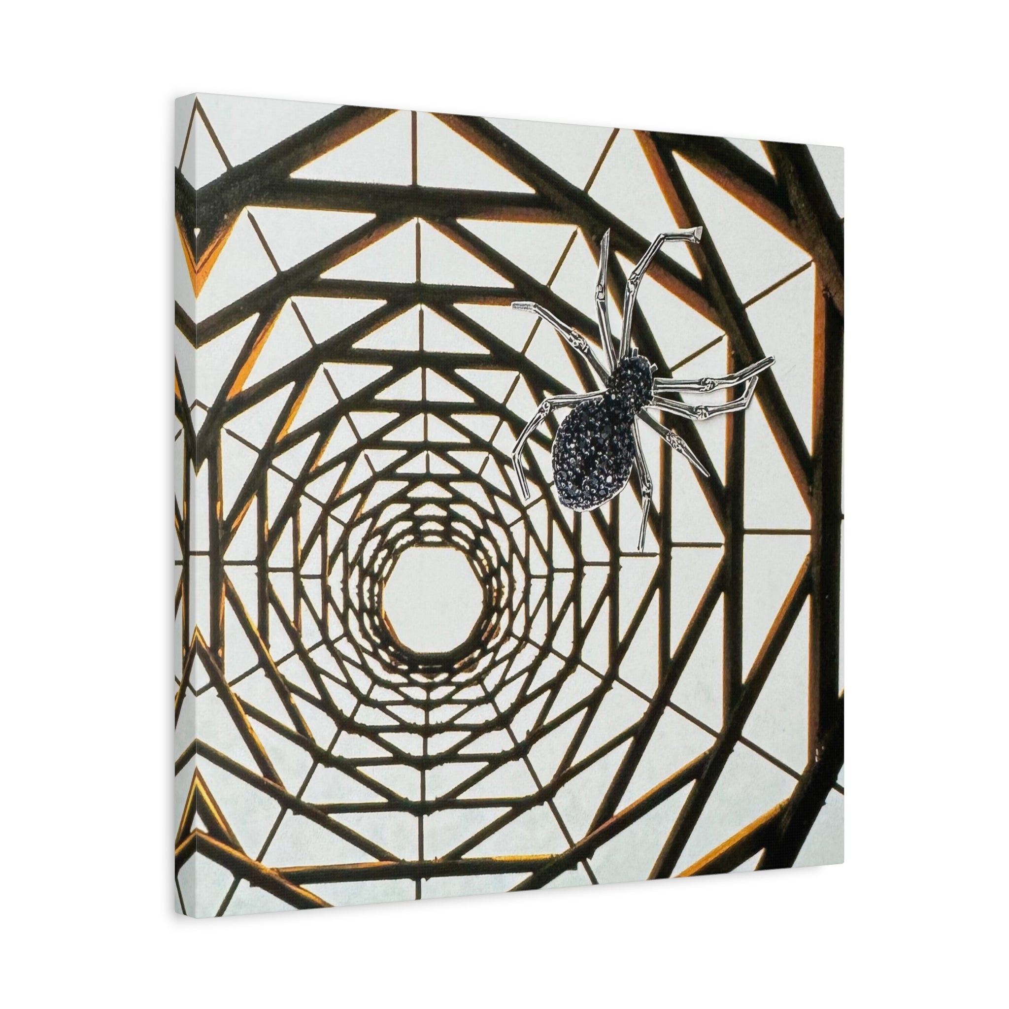 Spider Web Illusion Matte Canvas Wall Art — Geometric Tunnel with Spider