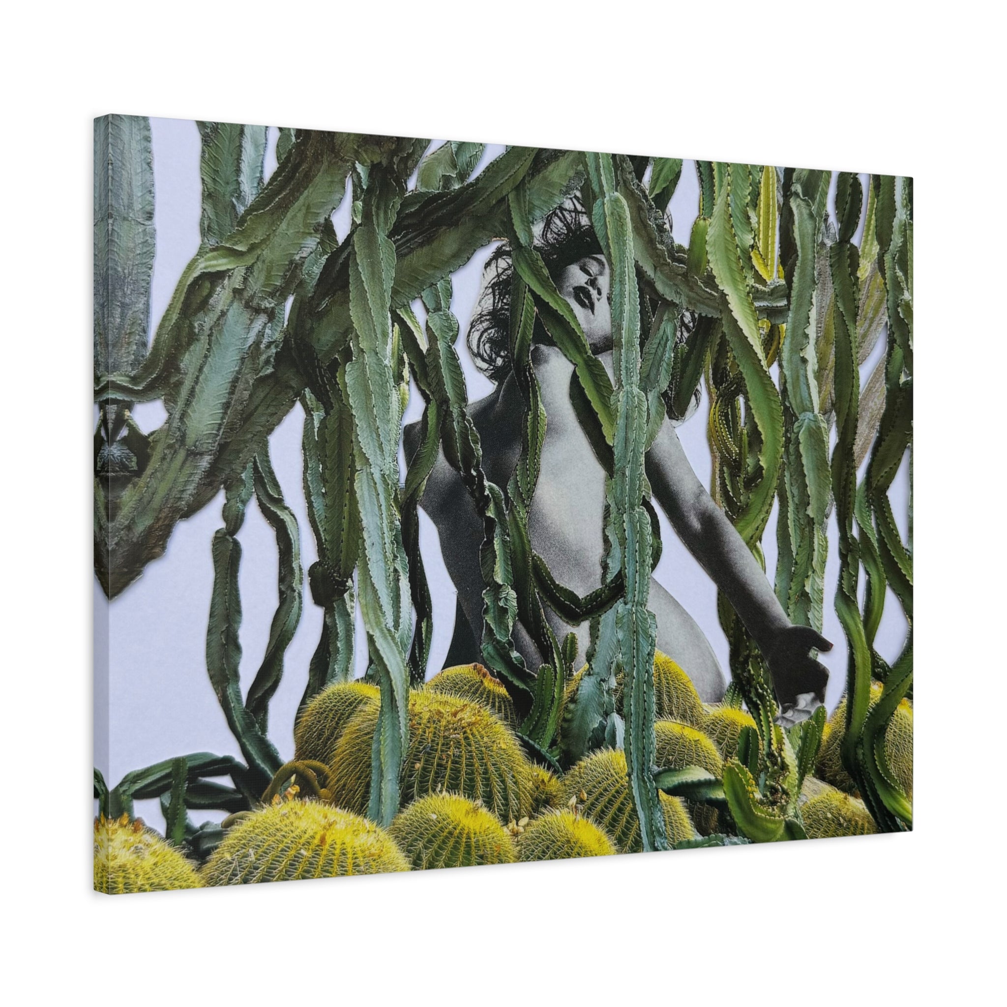 Botanical Nude Art Canvas - Surreal Cactus Wall Art