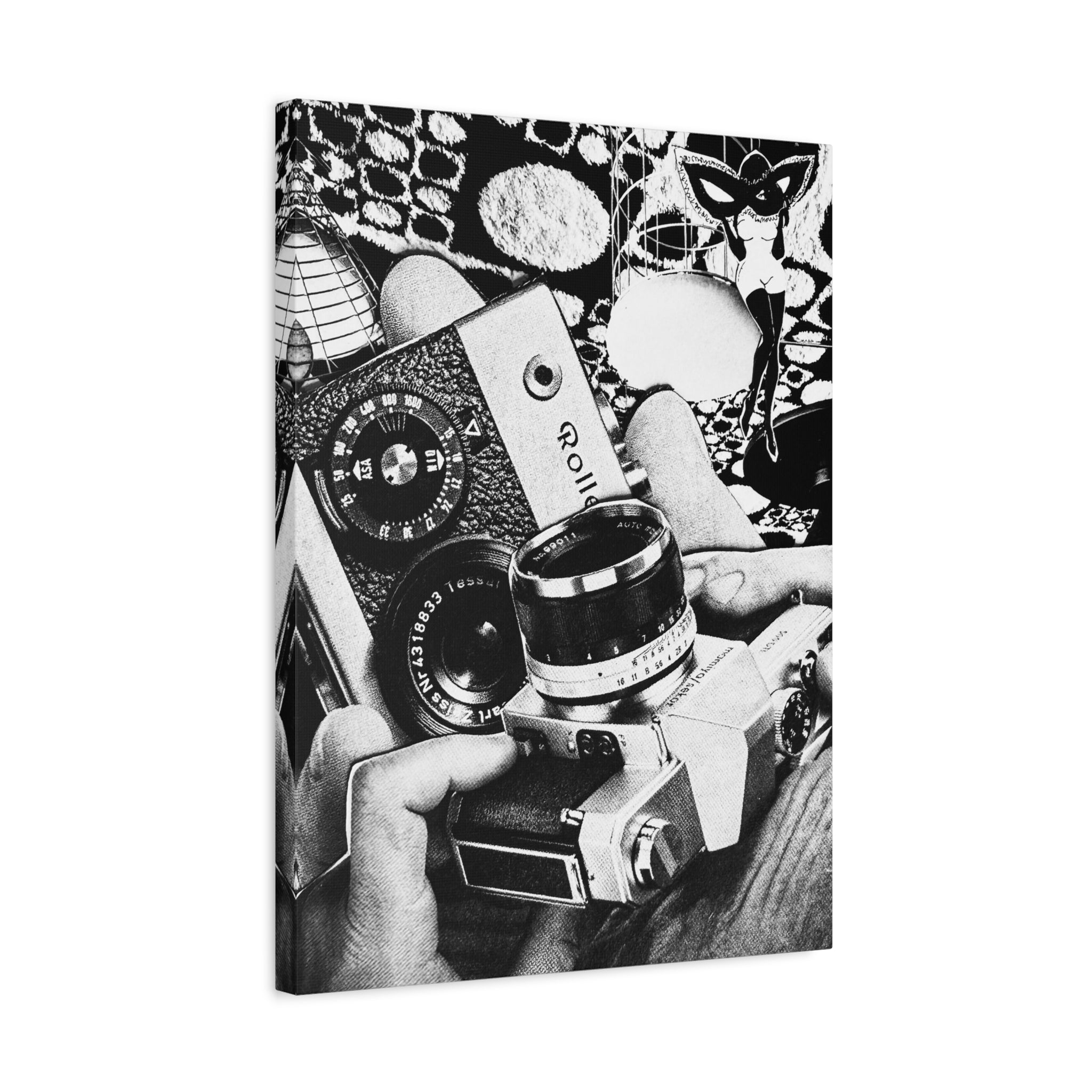 Vintage Camera Collage Matte Canvas Wall Art
