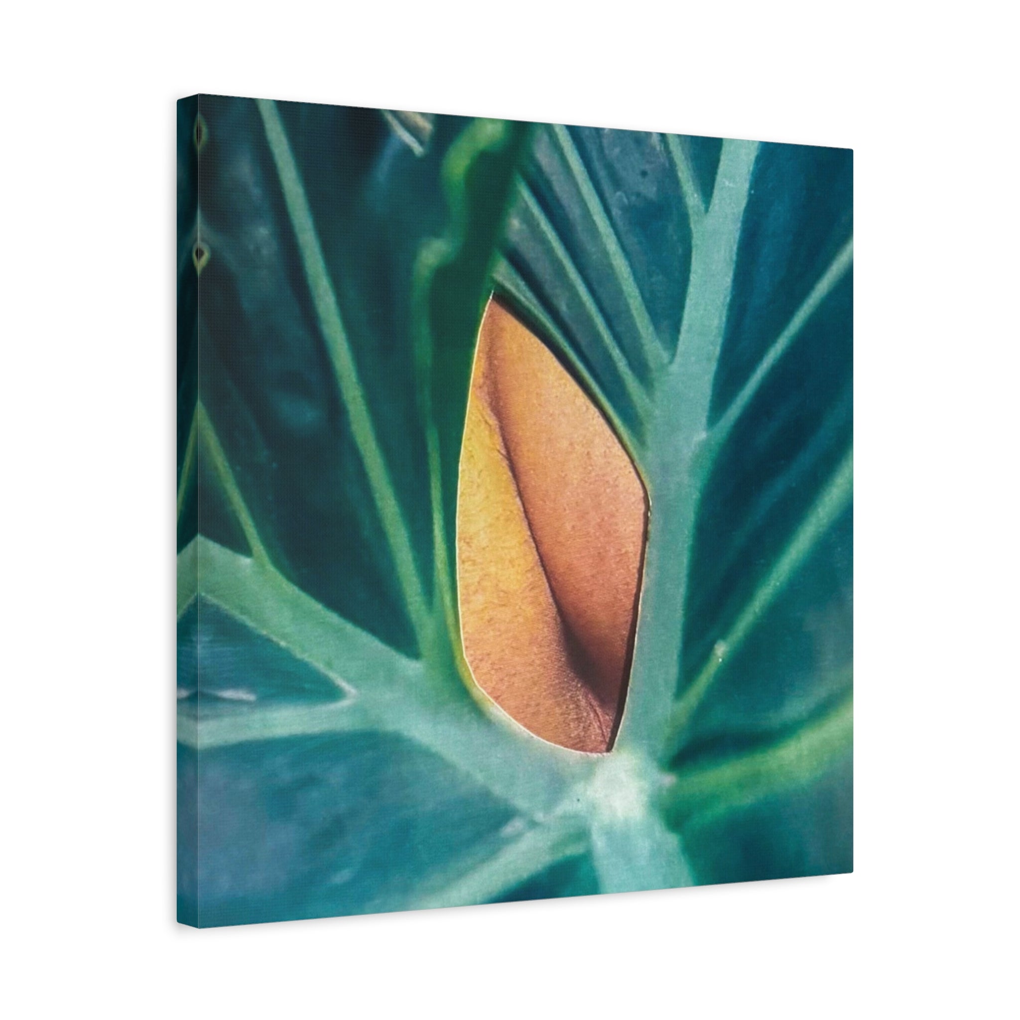 Tropical Leaf Canvas Wall Art — Close-Up Monstera Photo Matte Stretched Canvas