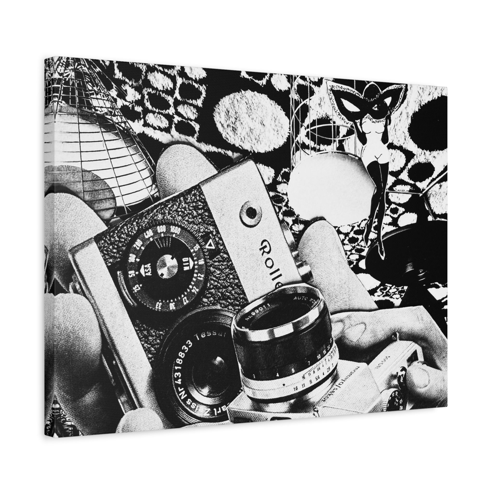 Vintage Camera Collage Matte Canvas Wall Art