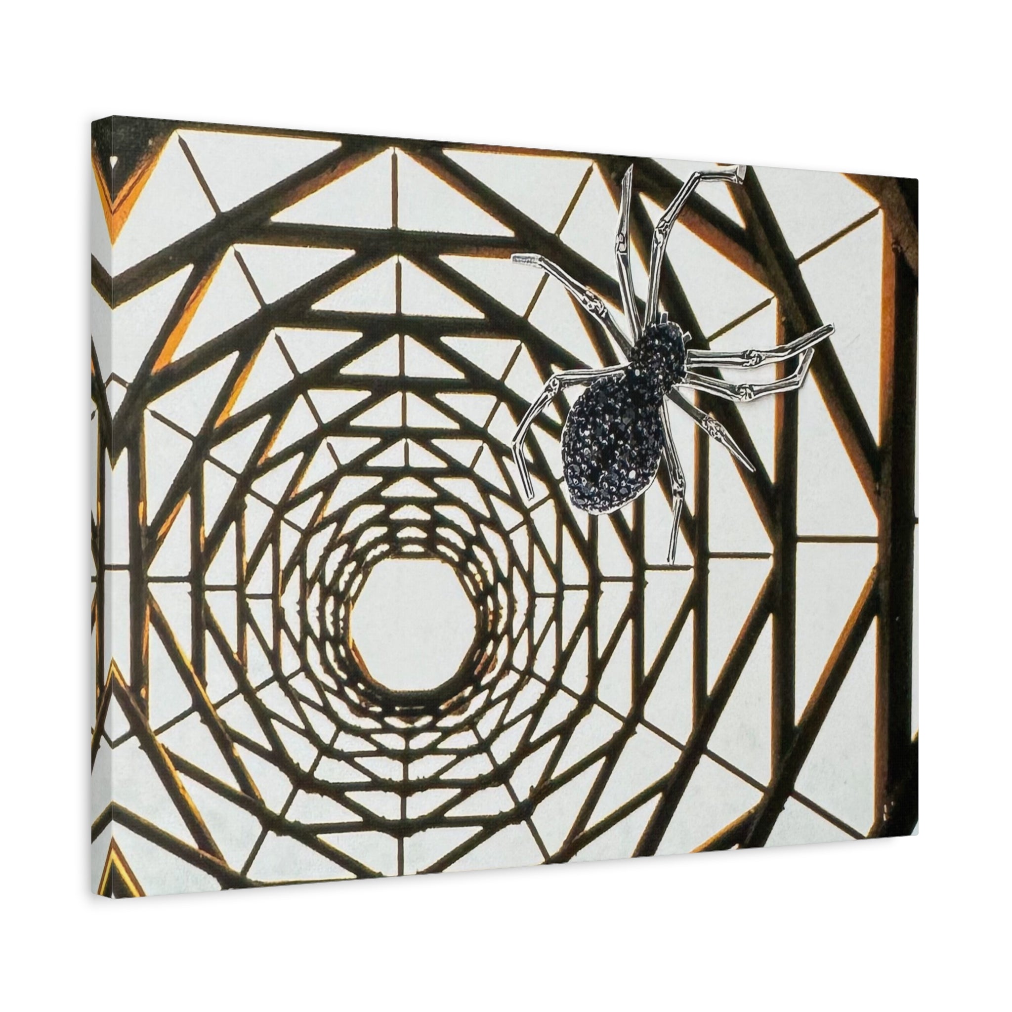 Spider Web Illusion Matte Canvas Wall Art — Geometric Tunnel with Spider