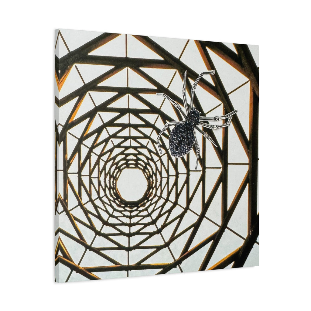Spider Web Illusion Matte Canvas Wall Art — Geometric Tunnel with Spider