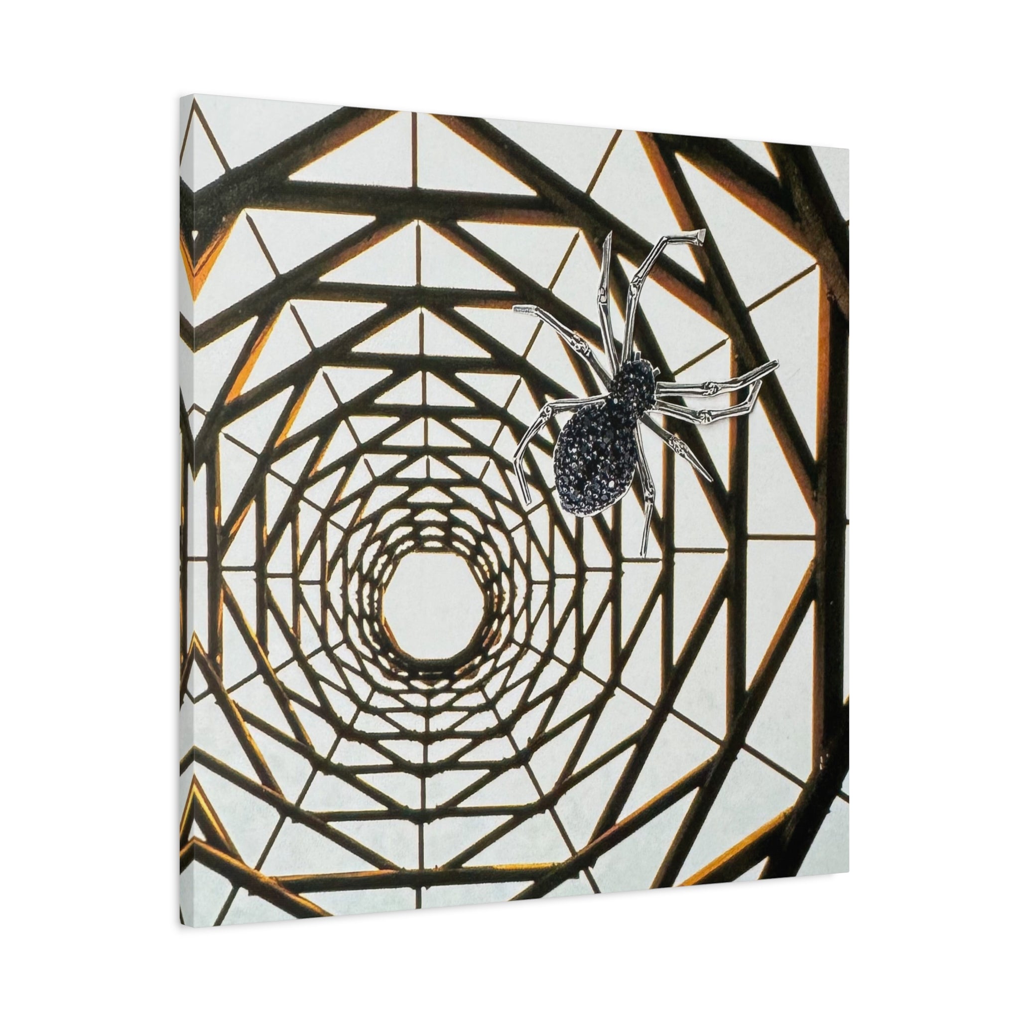 Spider Web Illusion Matte Canvas Wall Art — Geometric Tunnel with Spider