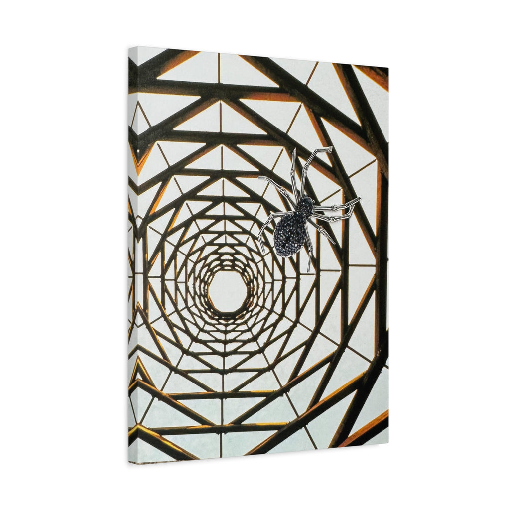 Spider Web Illusion Matte Canvas Wall Art — Geometric Tunnel with Spider