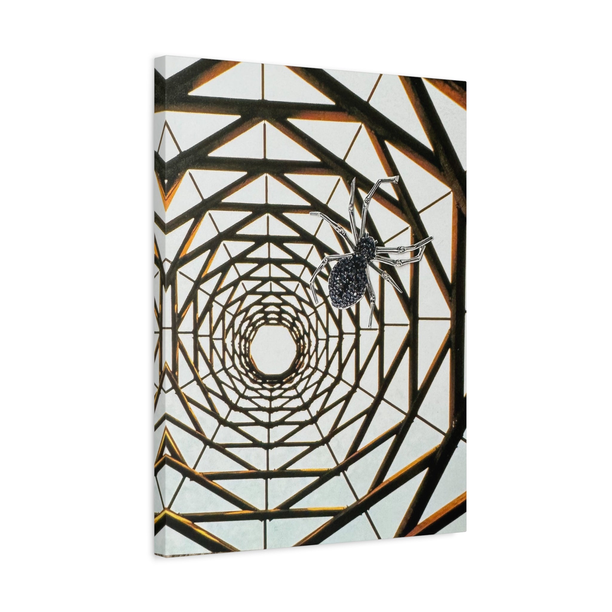 Spider Web Illusion Matte Canvas Wall Art — Geometric Tunnel with Spider