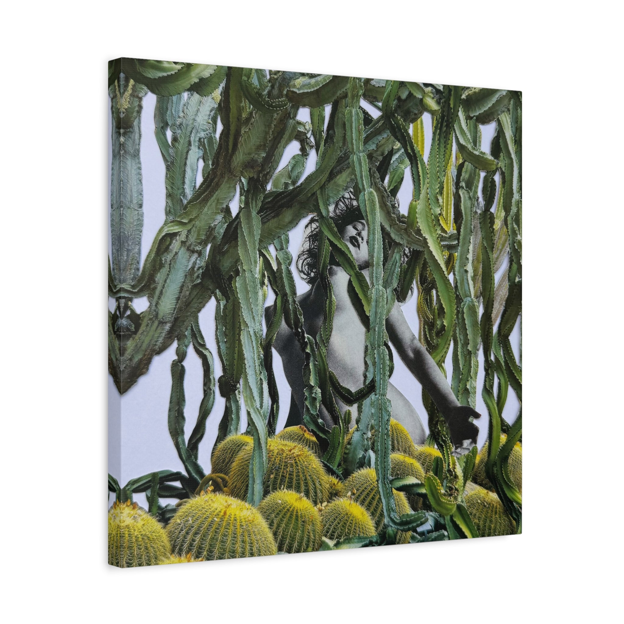 Botanical Nude Art Canvas - Surreal Cactus Wall Art