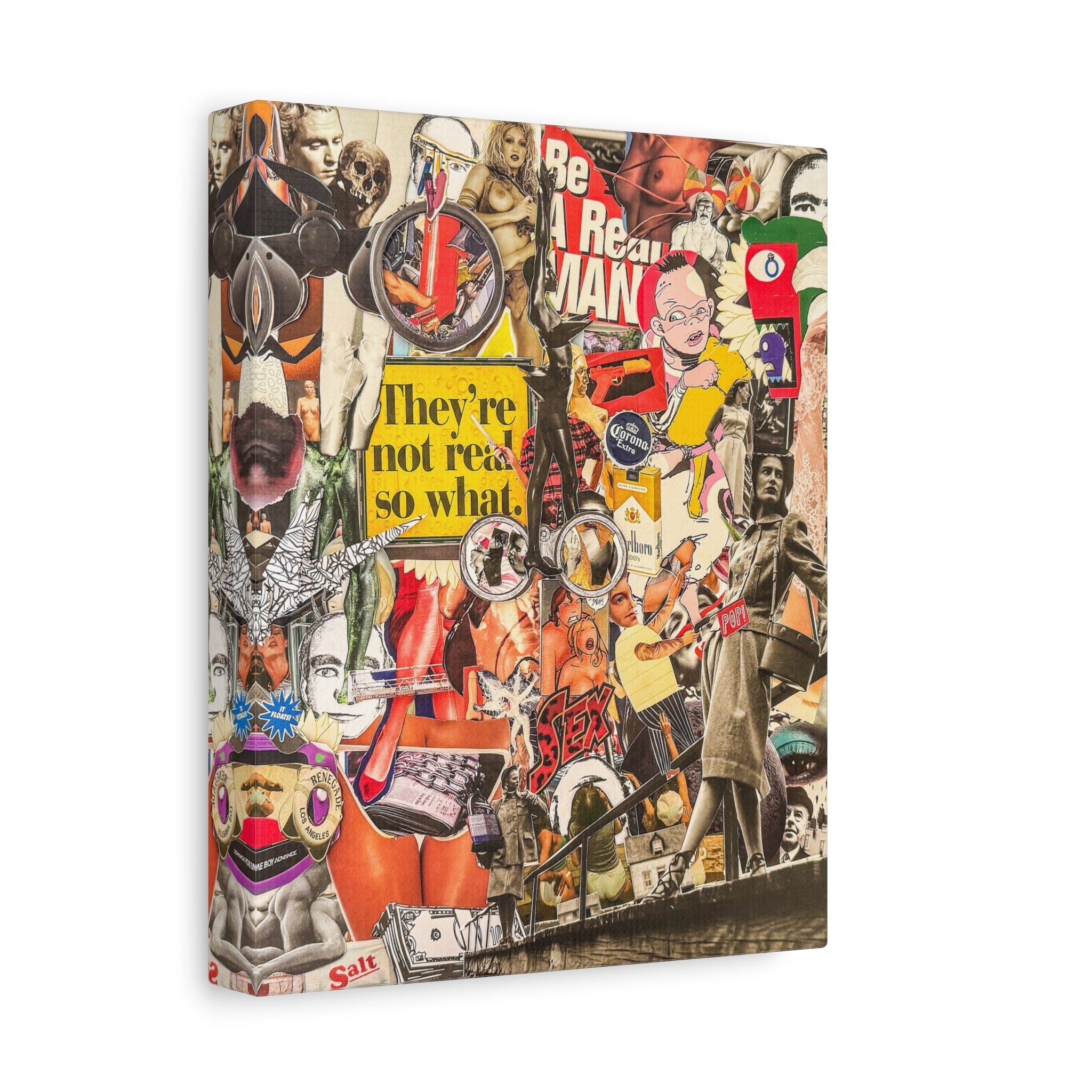 Surreal Collage Matte Canvas Print — "They're Not Real, So What" Stretched Wall Art