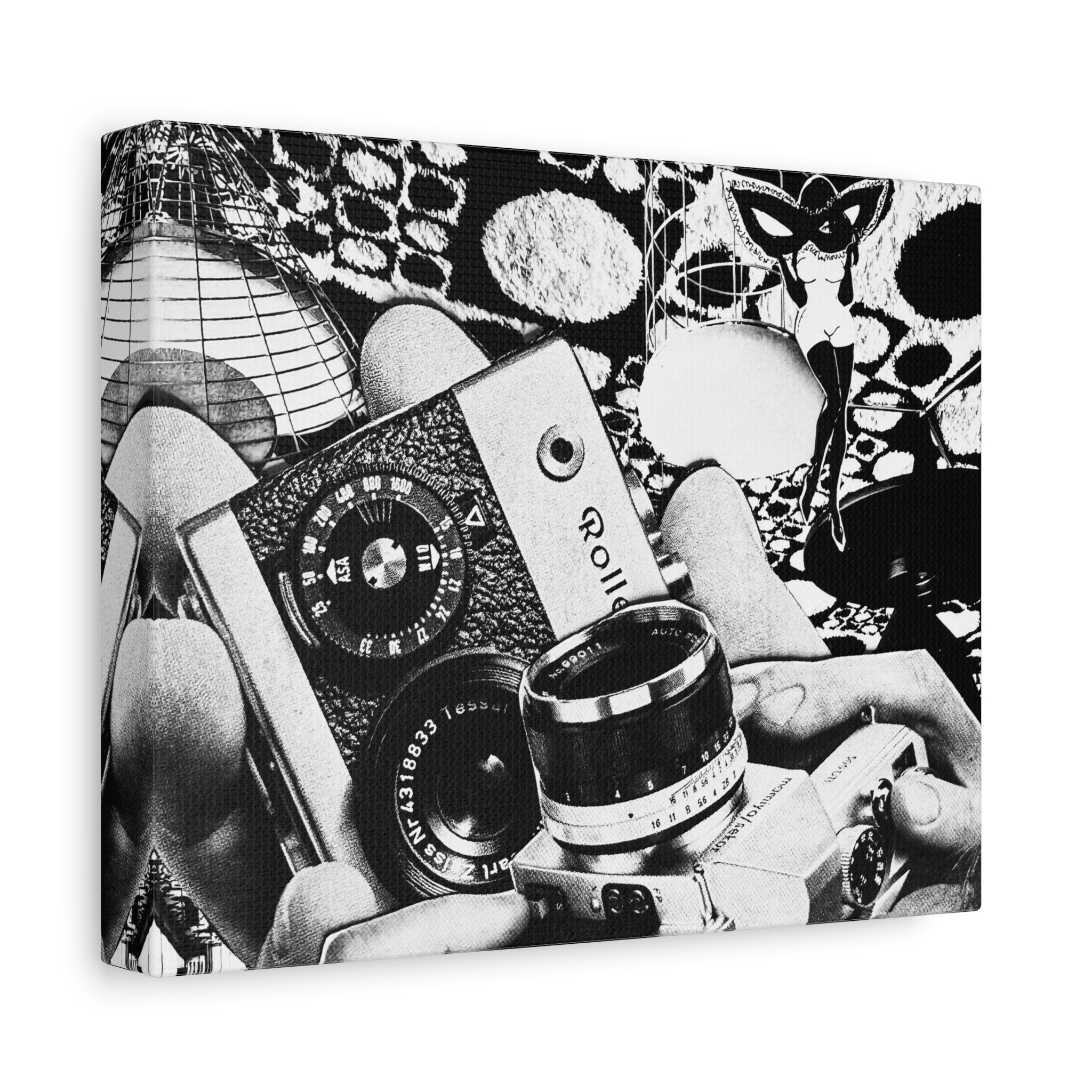 Vintage Camera Collage Matte Canvas Wall Art