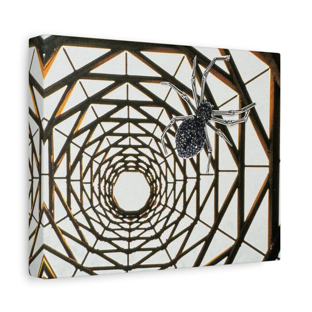Spider Web Illusion Matte Canvas Wall Art — Geometric Tunnel with Spider