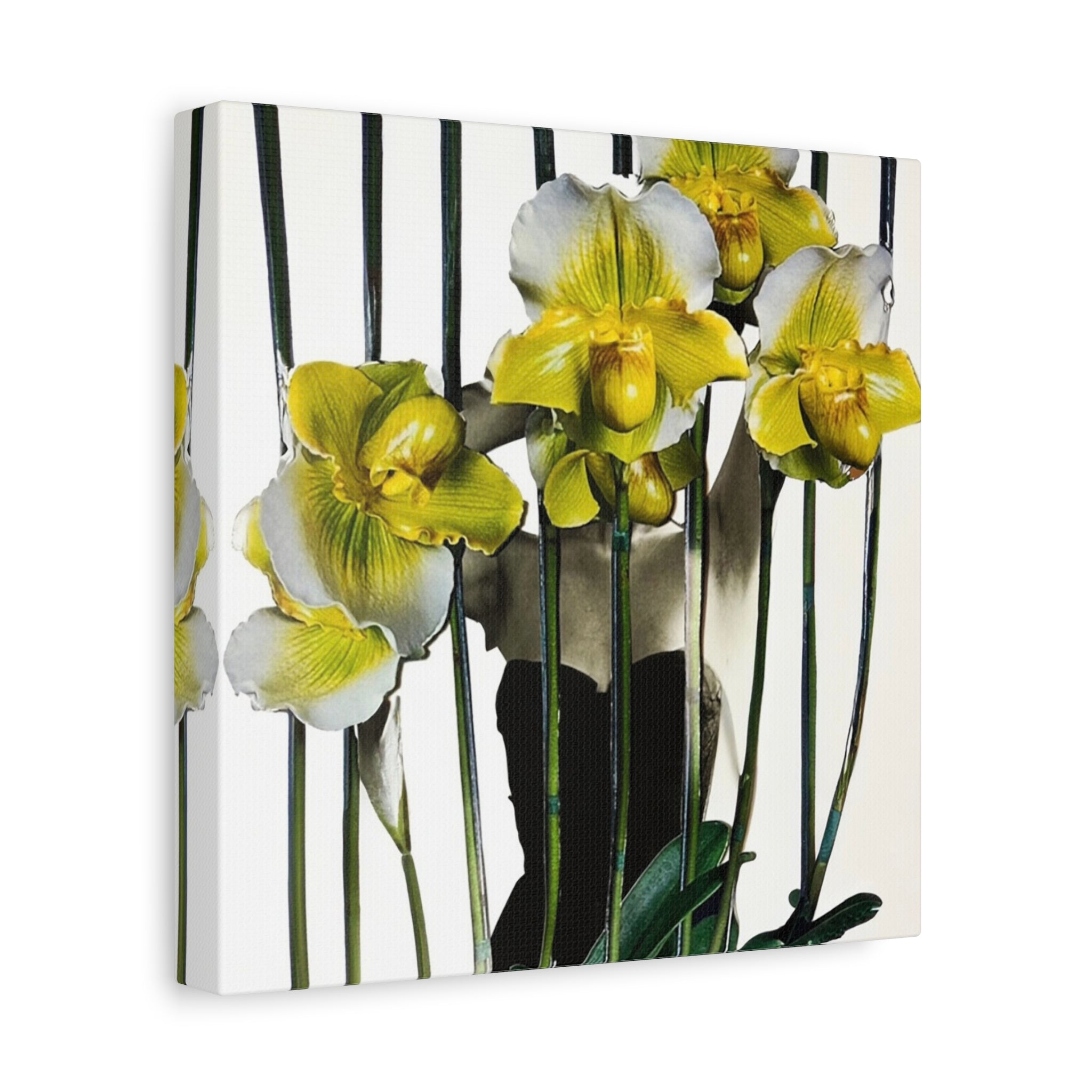 Orchid Canvas Print — Yellow Paphiopedilum Floral Wall Art, Matte Stretched Canvas