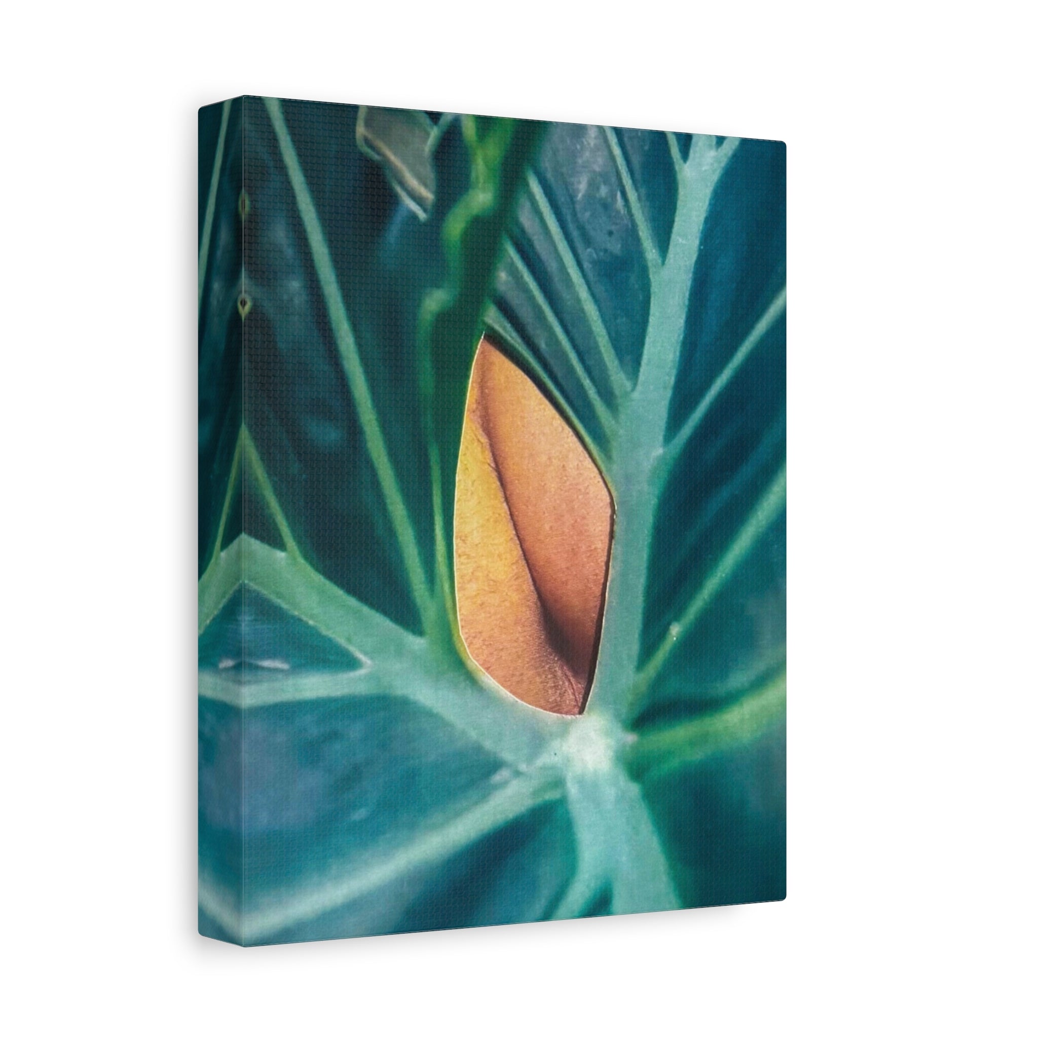 Tropical Leaf Canvas Wall Art — Close-Up Monstera Photo Matte Stretched Canvas