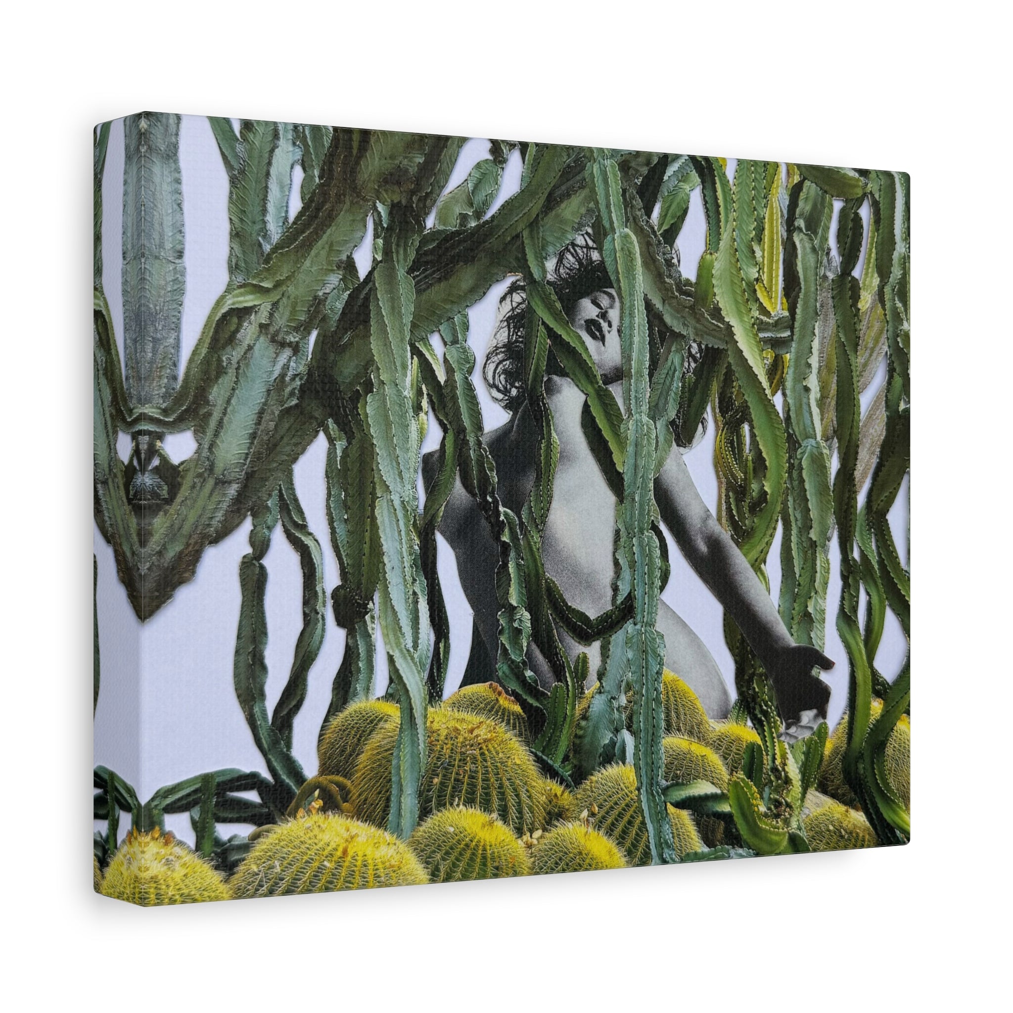 Botanical Nude Art Canvas - Surreal Cactus Wall Art