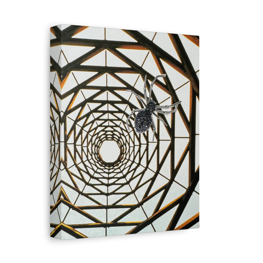 Spider Web Illusion Matte Canvas Wall Art — Geometric Tunnel with Spider