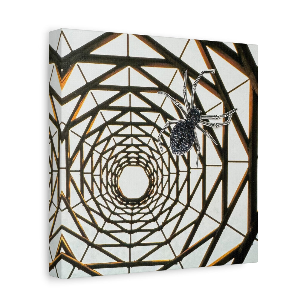 Spider Web Illusion Matte Canvas Wall Art — Geometric Tunnel with Spider