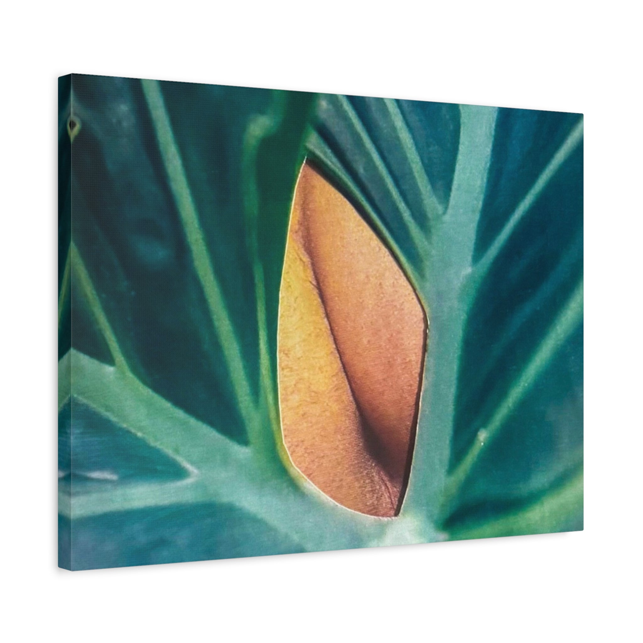 Tropical Leaf Canvas Wall Art — Close-Up Monstera Photo Matte Stretched Canvas