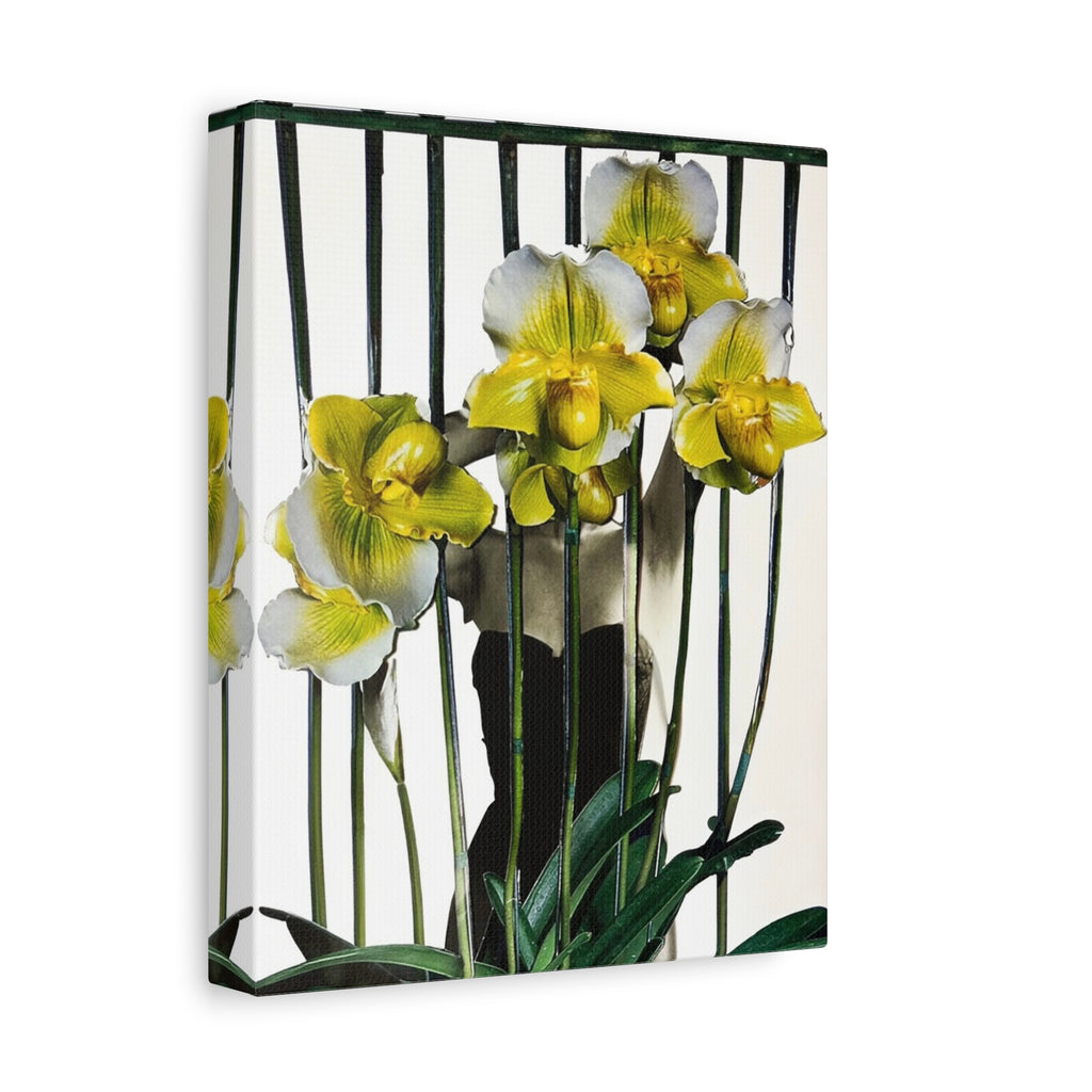 Orchid Canvas Print — Yellow Paphiopedilum Floral Wall Art, Matte Stretched Canvas
