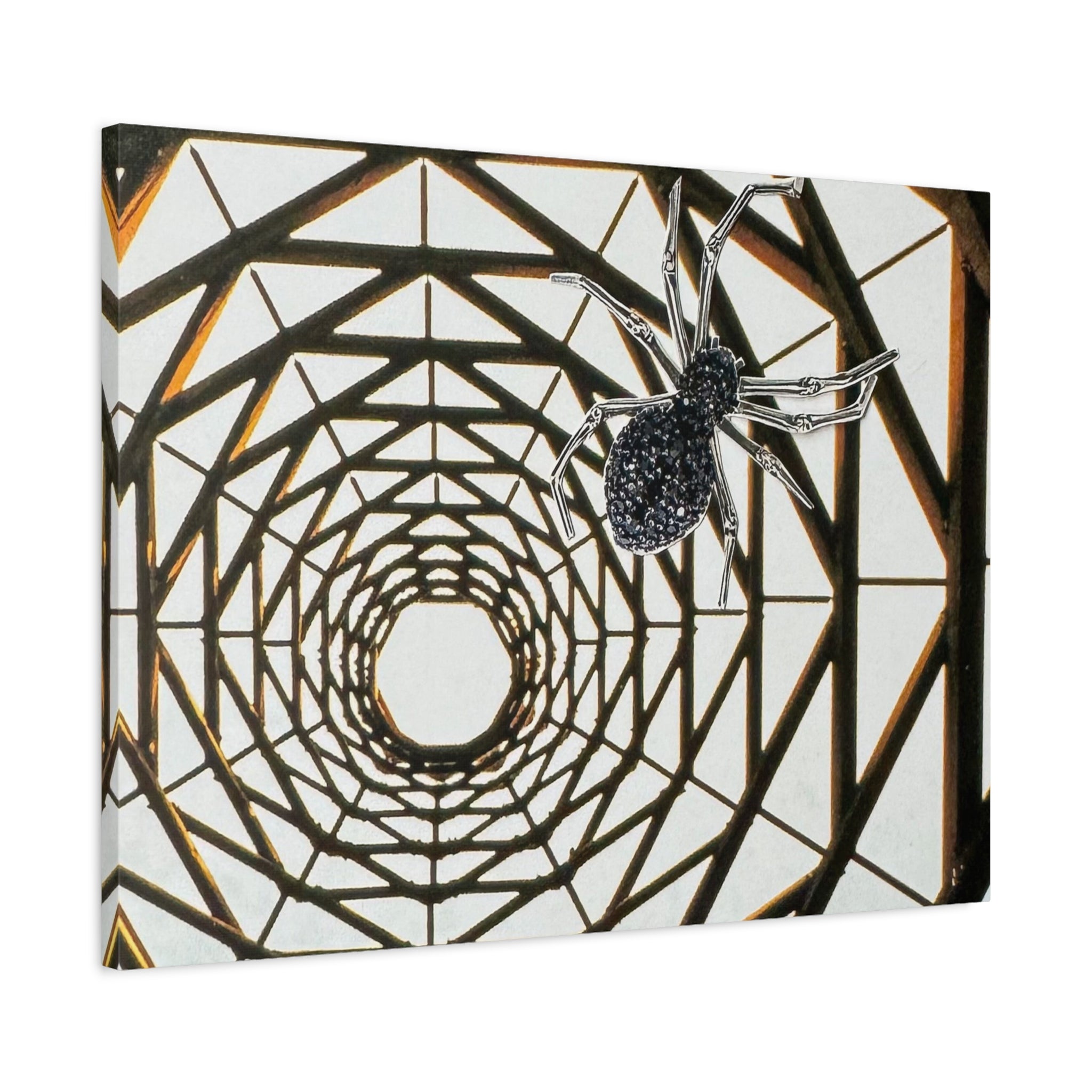Spider Web Illusion Matte Canvas Wall Art — Geometric Tunnel with Spider